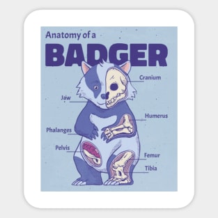 Anatomy of a Badger Sticker